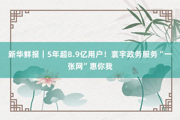 新华鲜报｜5年超8.9亿用户！寰宇政务服务“一张网”惠你我