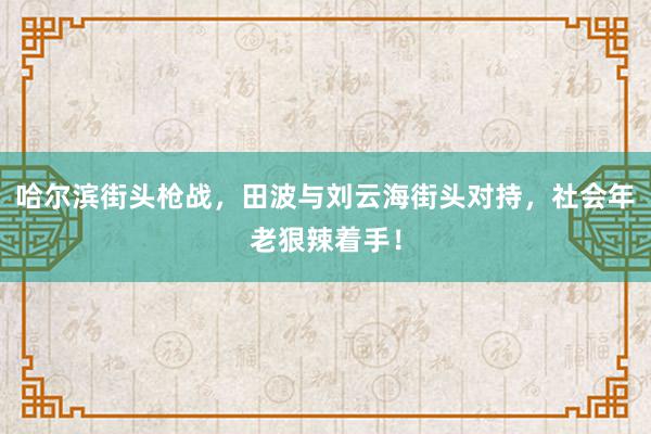 哈尔滨街头枪战，田波与刘云海街头对持，社会年老狠辣着手！