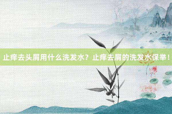 止痒去头屑用什么洗发水？止痒去屑的洗发水保举！