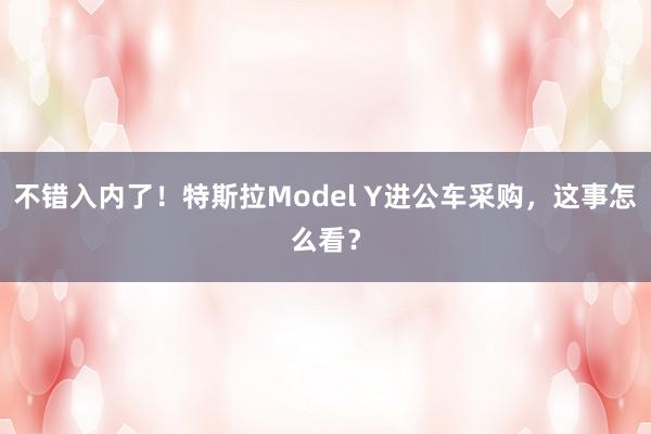 不错入内了！特斯拉Model Y进公车采购，这事怎么看？