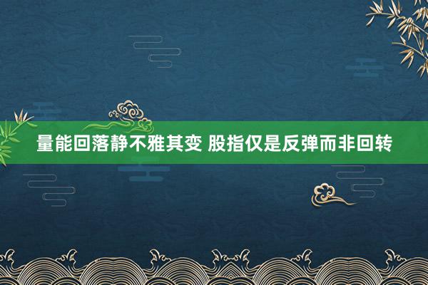 量能回落静不雅其变 股指仅是反弹而非回转