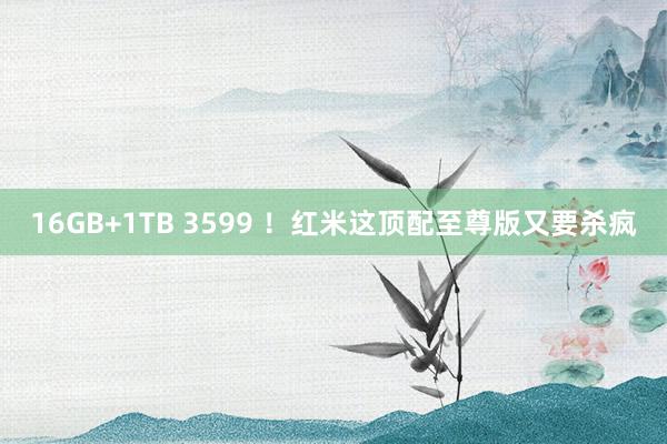 16GB+1TB 3599 ！红米这顶配至尊版又要杀疯