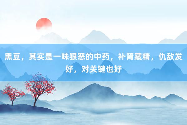 黑豆，其实是一味狠恶的中药，补肾藏精，仇敌发好，对关键也好