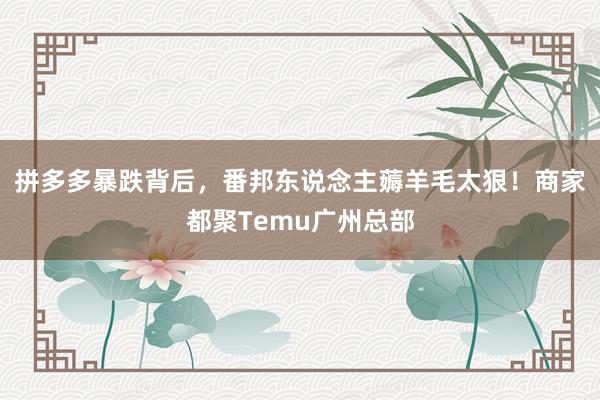 拼多多暴跌背后，番邦东说念主薅羊毛太狠！商家都聚Temu广州总部