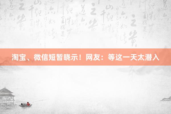 淘宝、微信短暂晓示！网友：等这一天太潜入