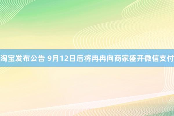 淘宝发布公告 9月12日后将冉冉向商家盛开微信支付